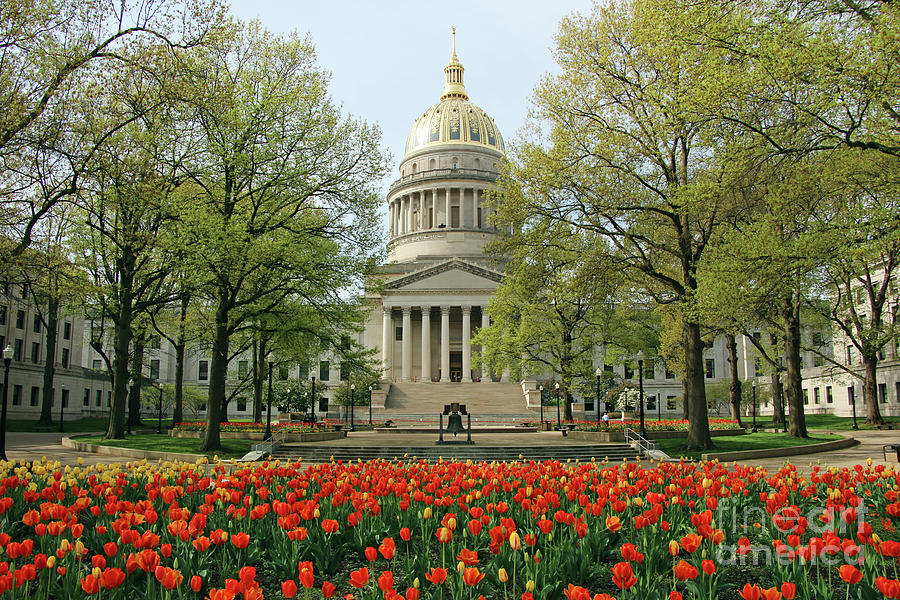 West Virginia State Capitol 2166 Photograph by Jack Schultz
