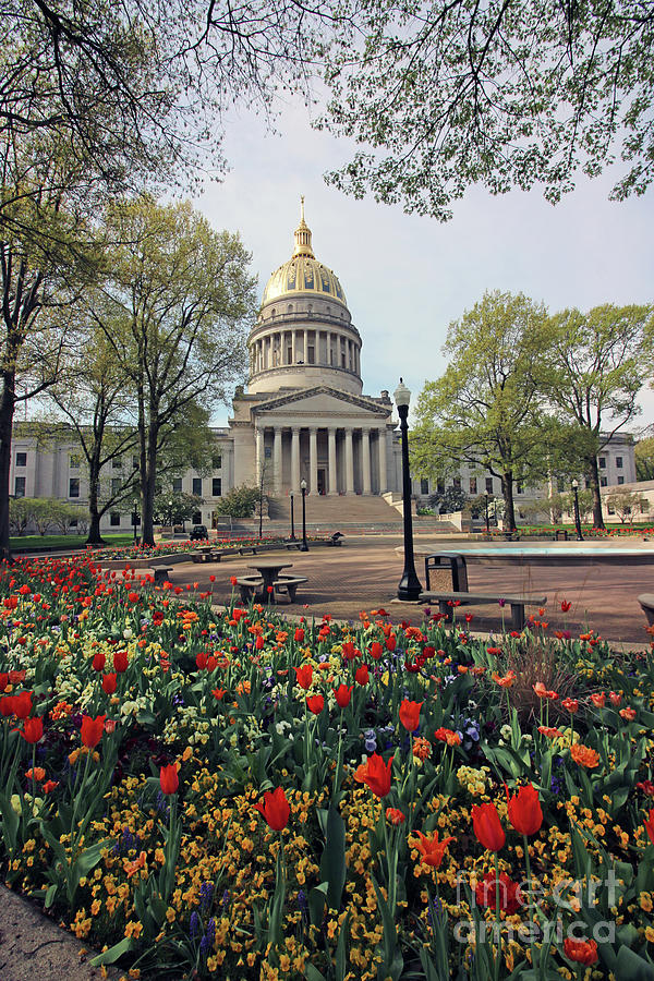 West Virginia State Capitol 2170 Photograph by Jack Schultz