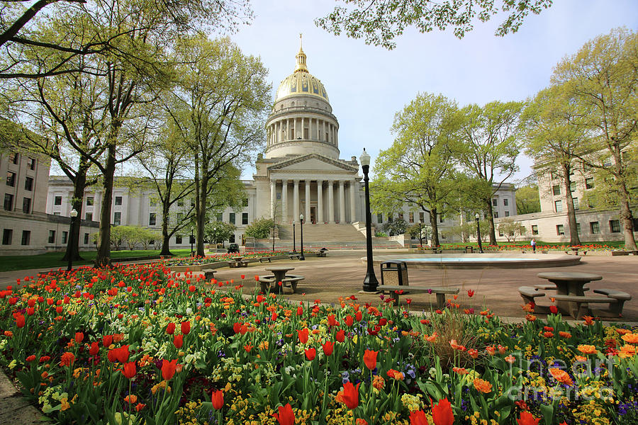 West Virginia State Capitol 2171 Photograph by Jack Schultz