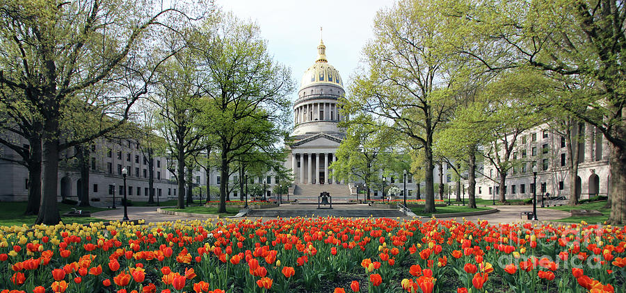 West Virginia State Capitol 2177 Photograph by Jack Schultz