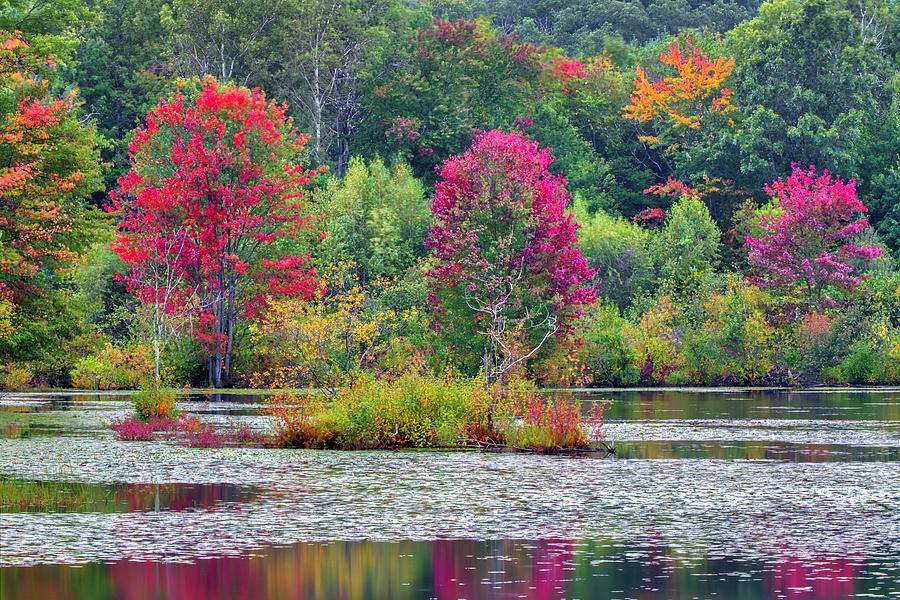 Westborough Massachusetts Fall Foliage Photograph by Juergen Roth