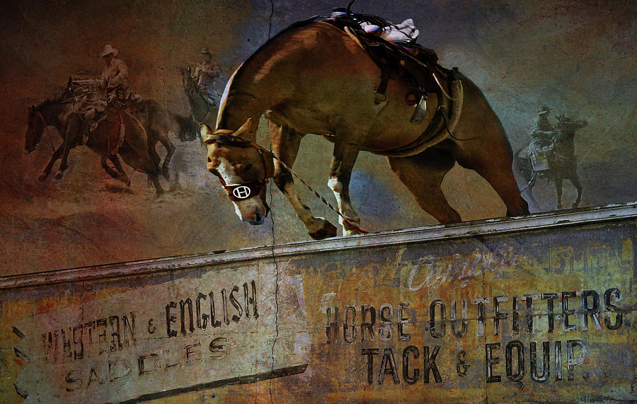 Western And English Saddles Digital Art