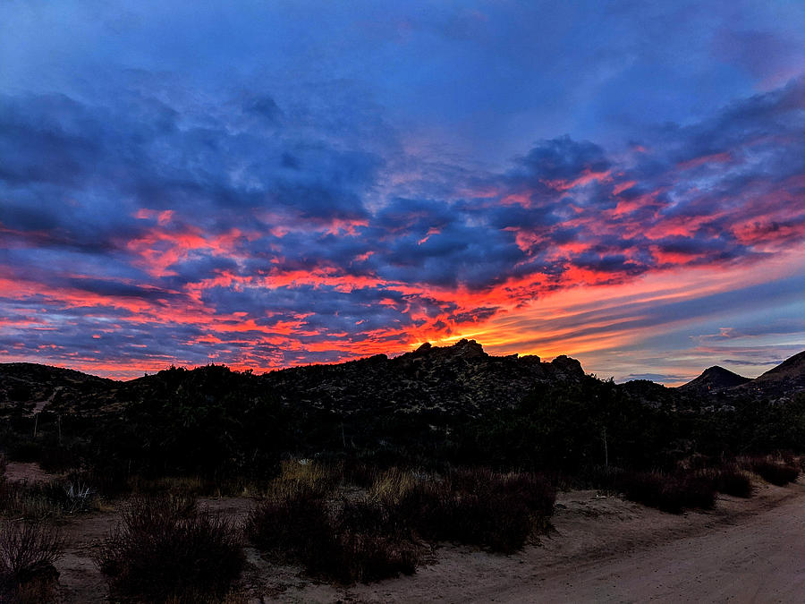 Western Desert Sunset Photograph by David Zumsteg