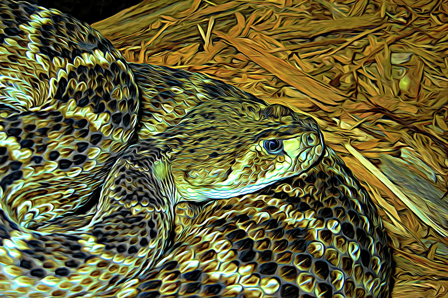 Western Diamondback Rattlesnake Expressionism Photograph