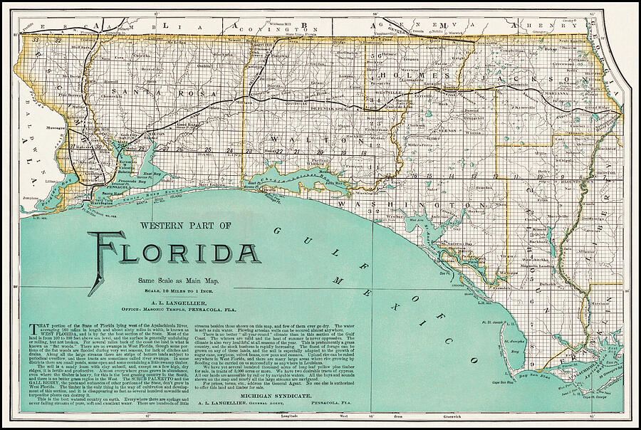 Florida Map Photograph - Western Florida Vintage Map 1890 by Carol Japp