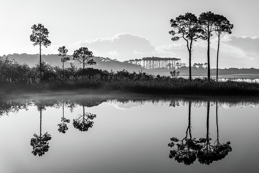 Western Lake Misty Morning in Black and White Photograph by Kurt Lischka