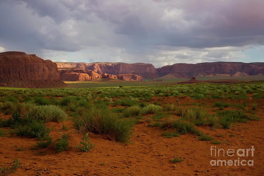 Western Landscape, Monument Valley Photograph by Felix Lai