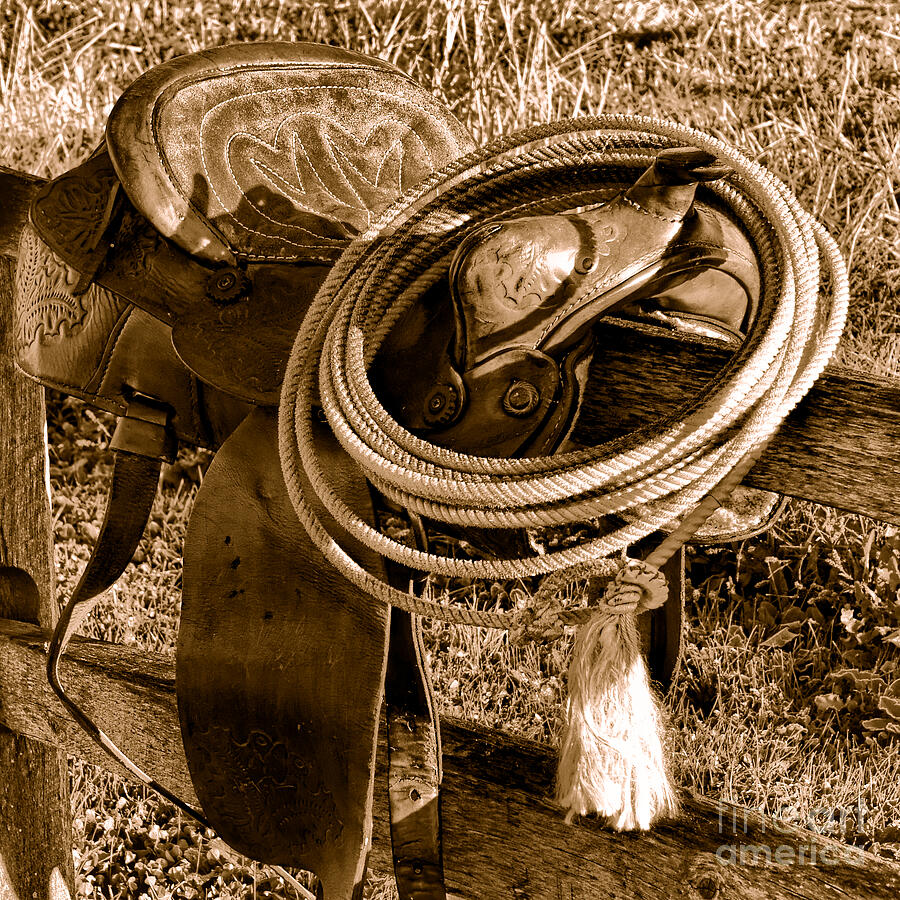 Western Lasso on Saddle - Sepia by Olivier Le Queinec