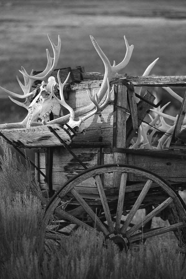 Western Legacies - Antler Horns - Wagon Wheel Photograph by Bonnie Colgan