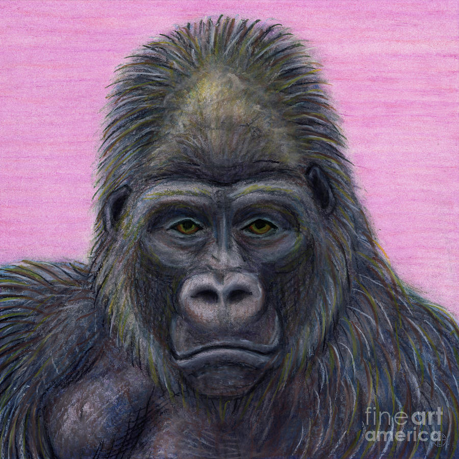 Western Lowland Gorilla Painting by Amy E Fraser