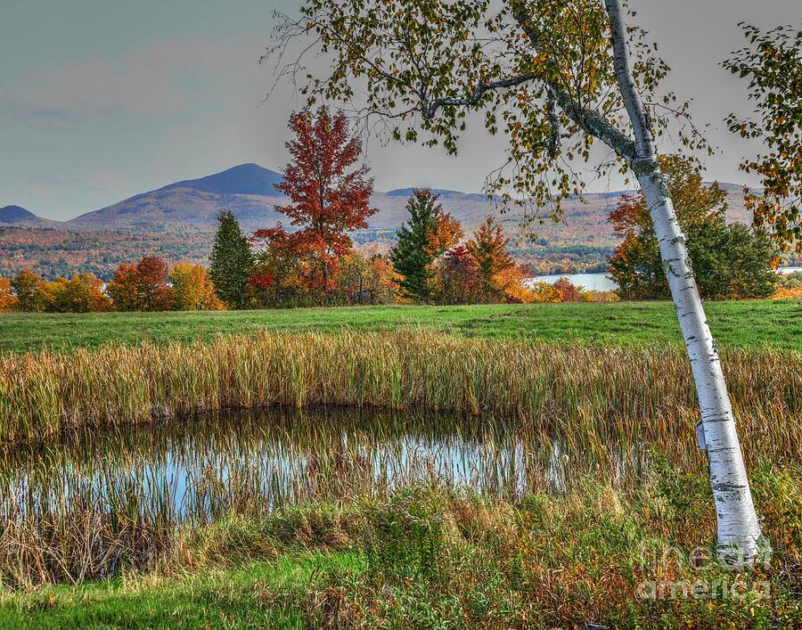 Western Maine Foliage  Photograph by Steve Brown