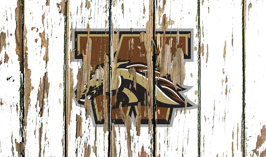 Western Michigan University Vintage College Logo Peeling Barn Wood   Western Michigan University Vintage College Logo Peeling Barn Wood Paint Design Turnpike 