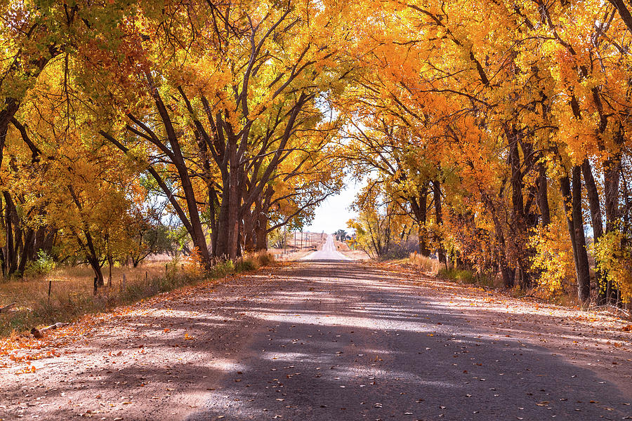 Western Nebraska Fall Colors Photograph by Marc Crumpler