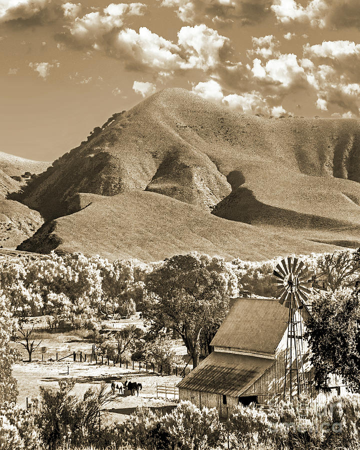 Western Oasis Sepia Vertical, California Photograph by Don Schimmel