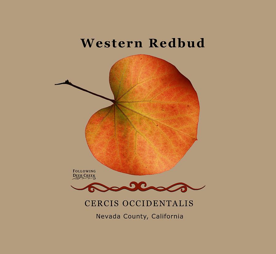 Western Redbud Cercis occidentalis Digital Art by Lisa Redfern