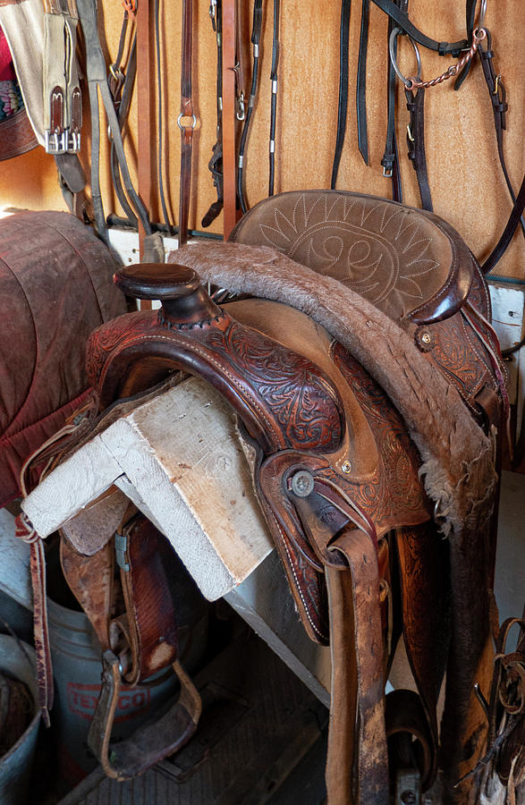 Western Photograph - Western Saddle by Phil And Karen Rispin