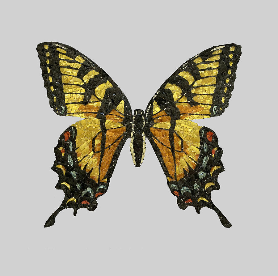 Western Tiger Swallowtail Mixed Media by Matthew Lazure