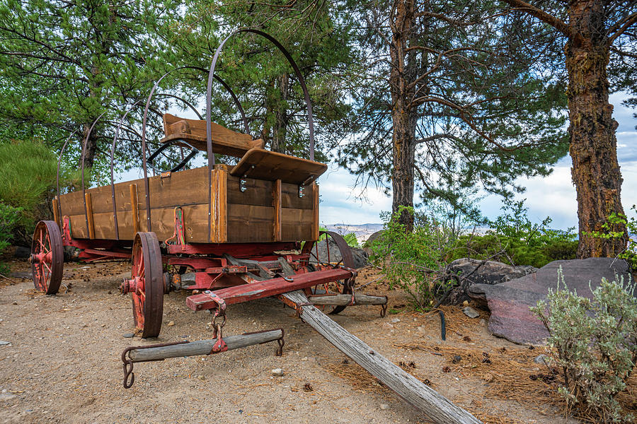 Western Wagon Photograph by Ron Long Ltd Photography