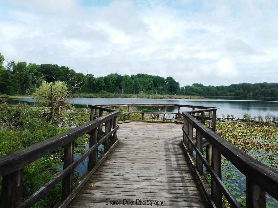 Westminster Ponds Lookout Photograph by Sharon Duke - Fine Art America