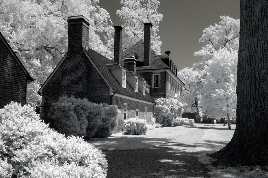 Westover Plantation Infrared Photograph by Liza Eckardt