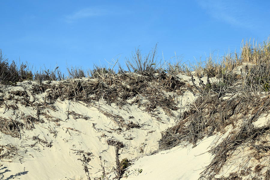 Westport Massachusetts Sand Dune Photograph by Joseph C Santos - Fine ...