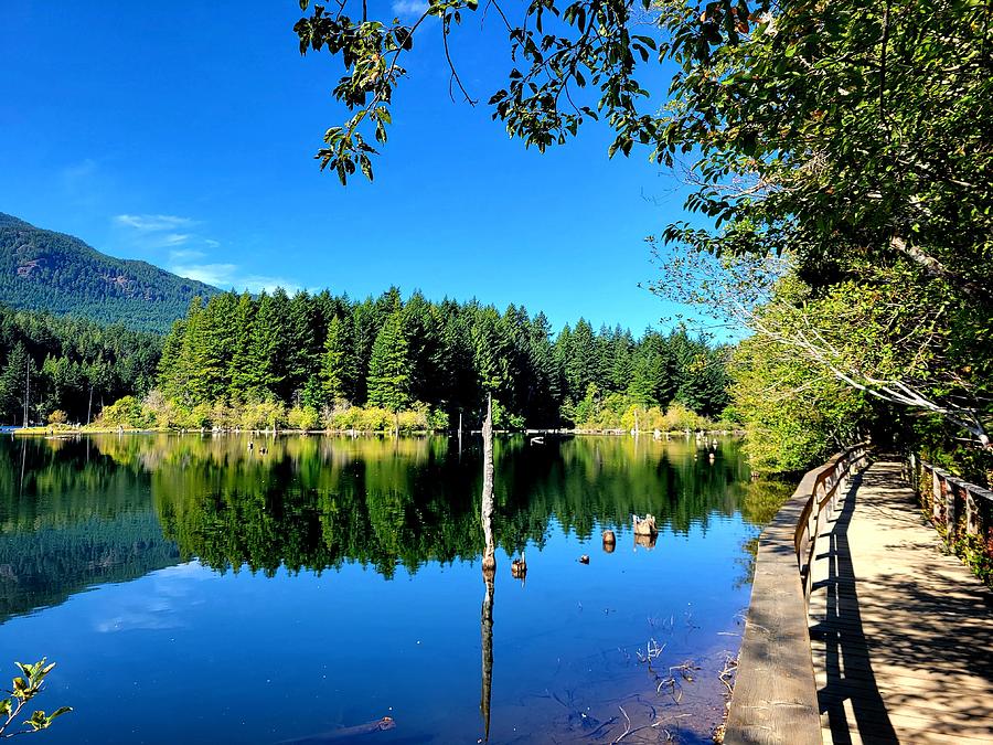 Westwood Lake Reflections  Photograph by Darrell MacIver