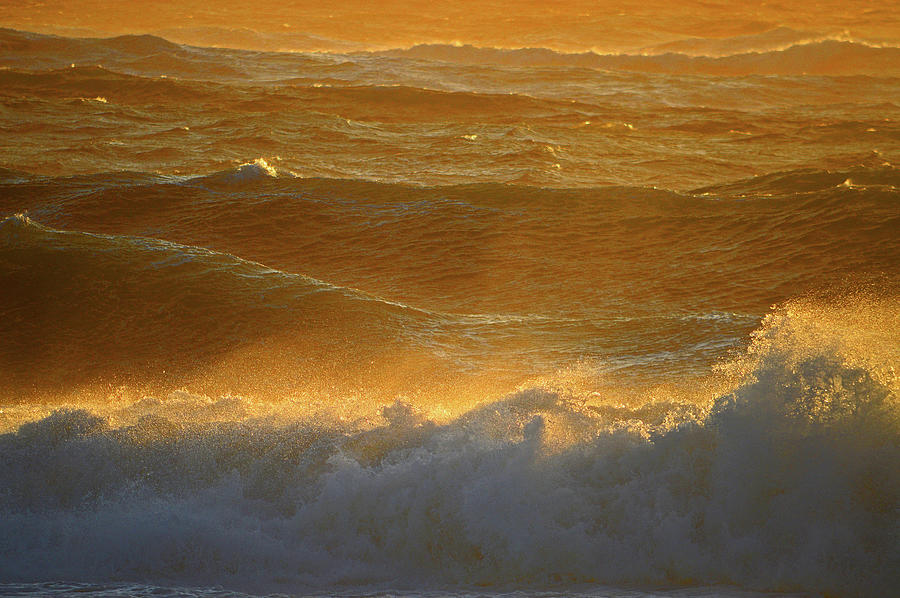 Wet and Wild - Nauset Beach Photograph by Dianne Cowen Cape Cod ...