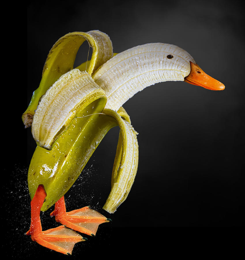 Wet Banana Duck Digital Art