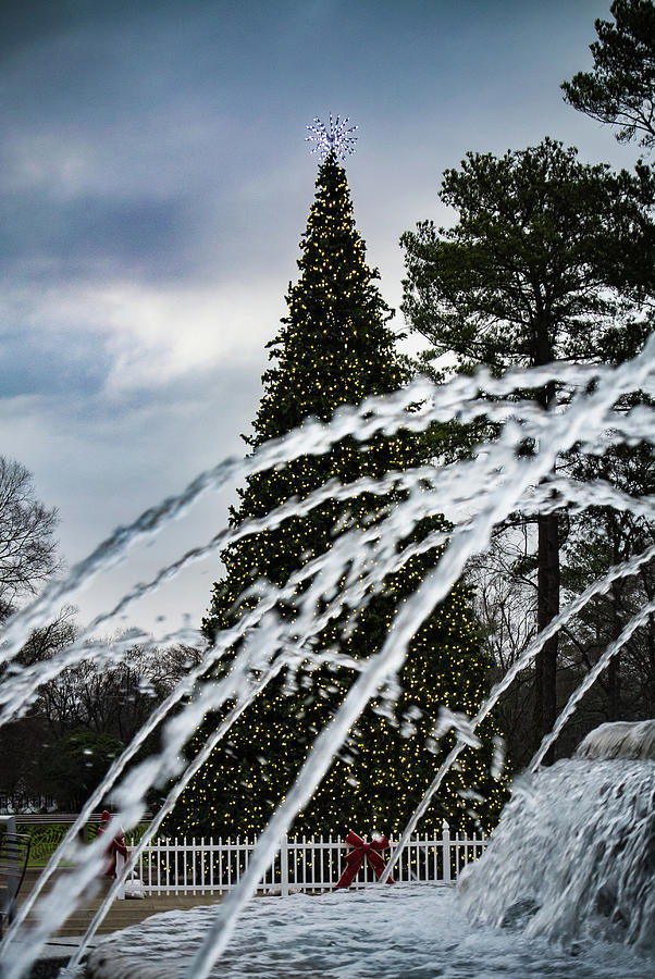Wet Christmas Photograph by Rick Nelson