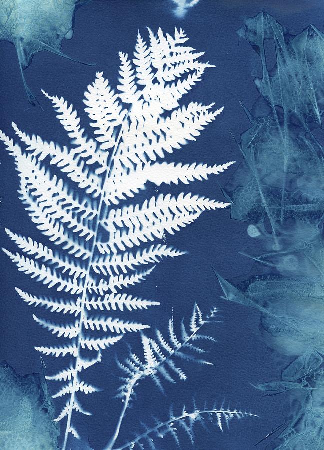 Wet Cyanotype Fern Botanical Photograph by Jane Linders