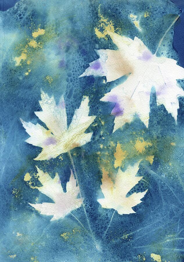 Wet Cyanotype Maple Leaf Photograph by Jane Linders