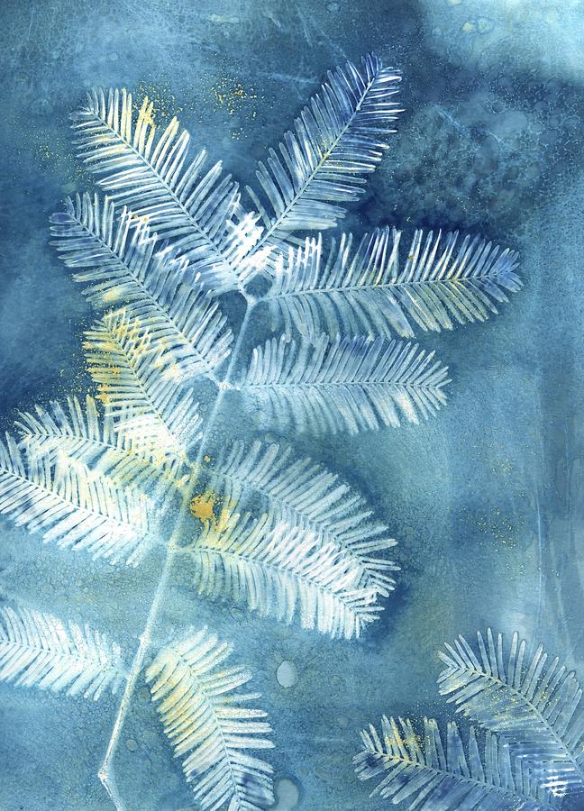 Nature Photograph - Wet Cyanotype Pine Botanical Blue by Jane Linders