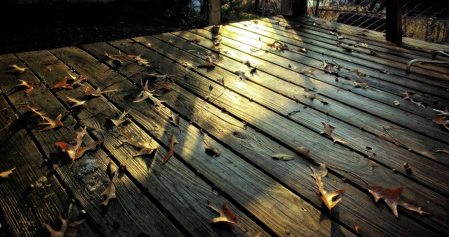 Wet Deck Photograph by Brian Wallace