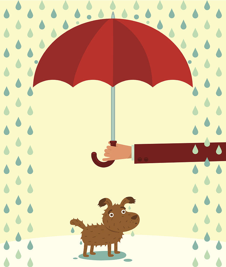 Wet dog under the rain. Drawing by Bulentgultek
