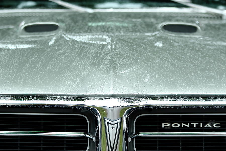 Wet GTO Photograph by Lens Art Photography By Larry Trager