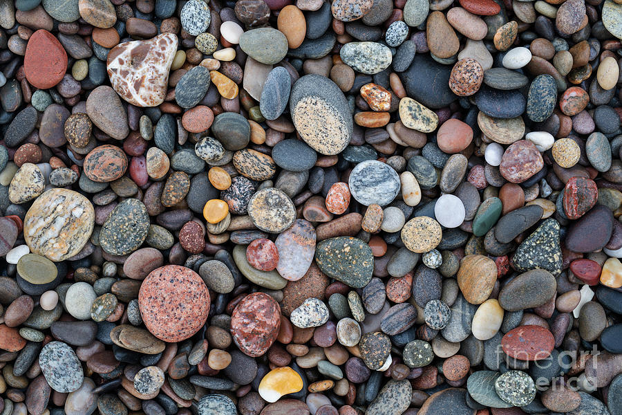 Wet Pebbles  Photograph by Tim Gainey