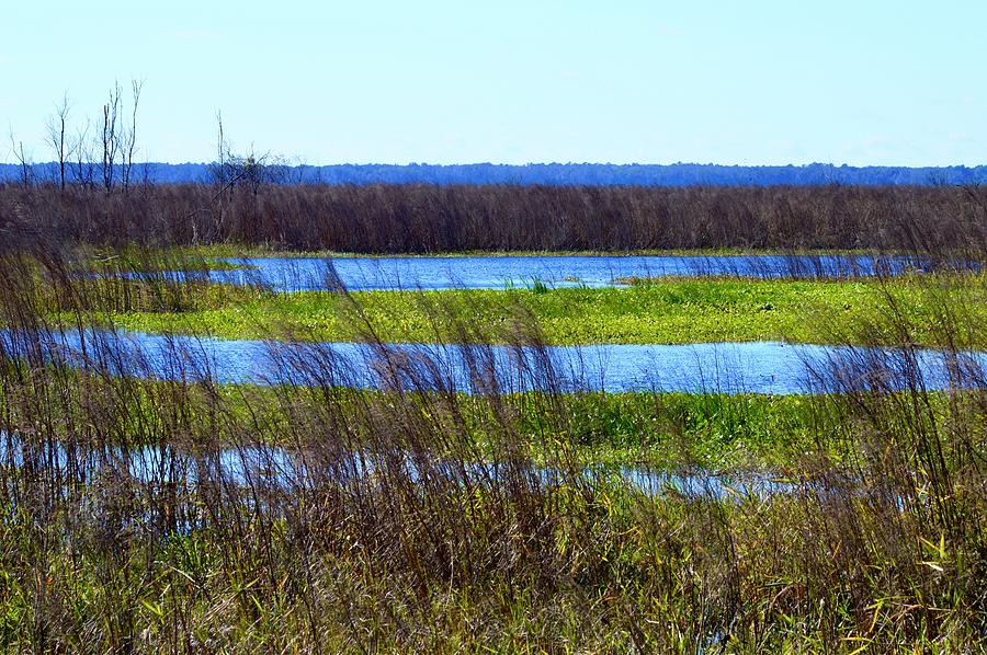 Wetland Distance and Color Photograph by Warren Thompson