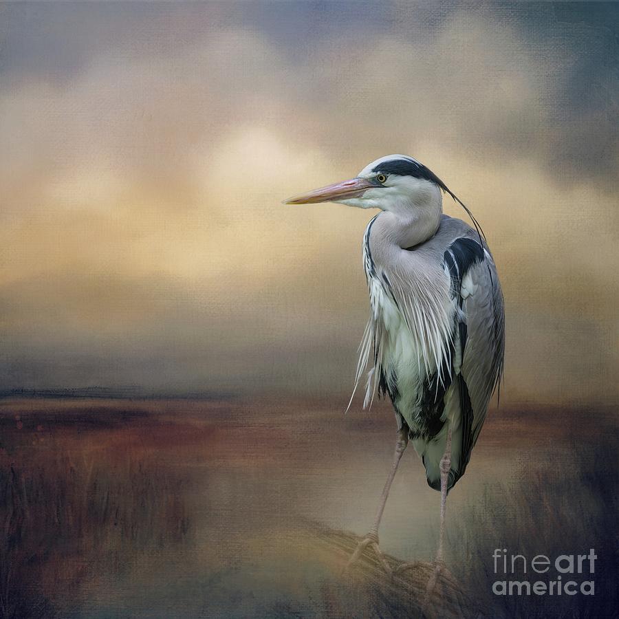 Heron Photograph - Wetland Heron by Eva Lechner