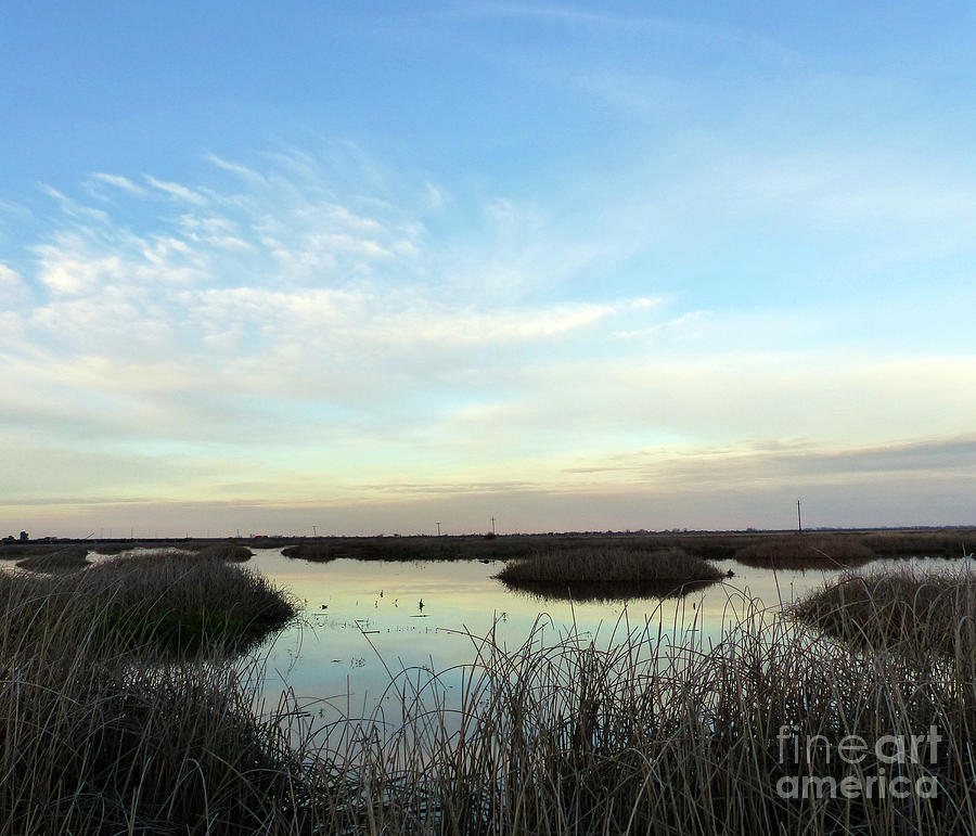 Wetland Reflections Photograph by Paula Joy Welter