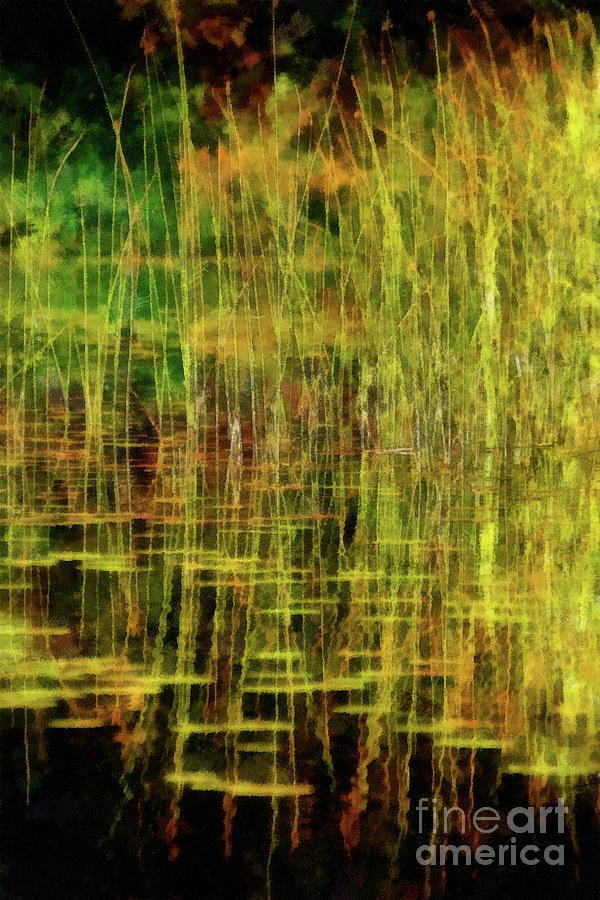 Wetland Series Lake St Clair Photograph by Susan Parish