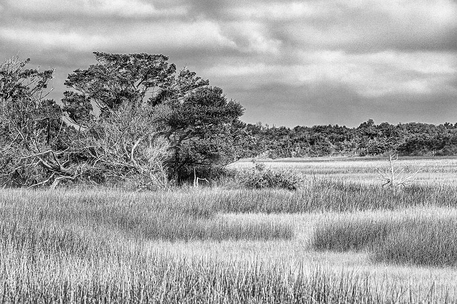 Wetlands at Fort Macon State Park in Black and White- Atlantic B Photograph by Bob Decker