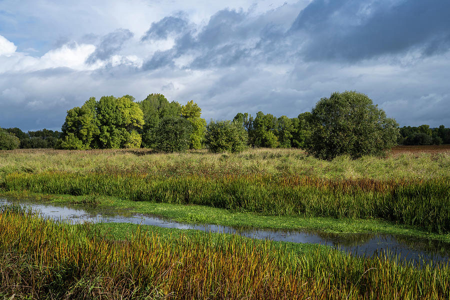 Wetlands at Ridgefield National Wildlife Refuge Photograph by Robert Potts
