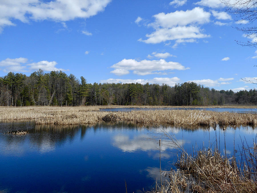 Wetlands Derry, NH Rail Trail Photograph by Maureen Rose - Fine Art America