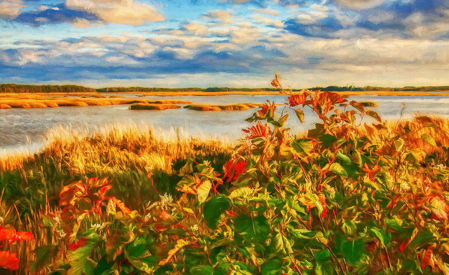 Nature Mixed Media - Wetlands in Cape Breton by Tatiana Travelways