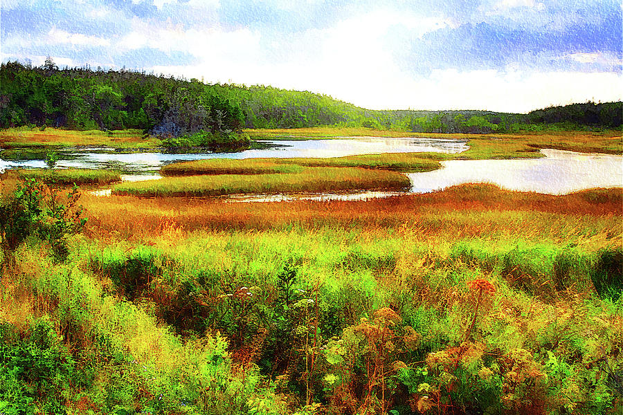 Wetlands Nova Scotia watercolor Digital Art by Tatiana Travelways