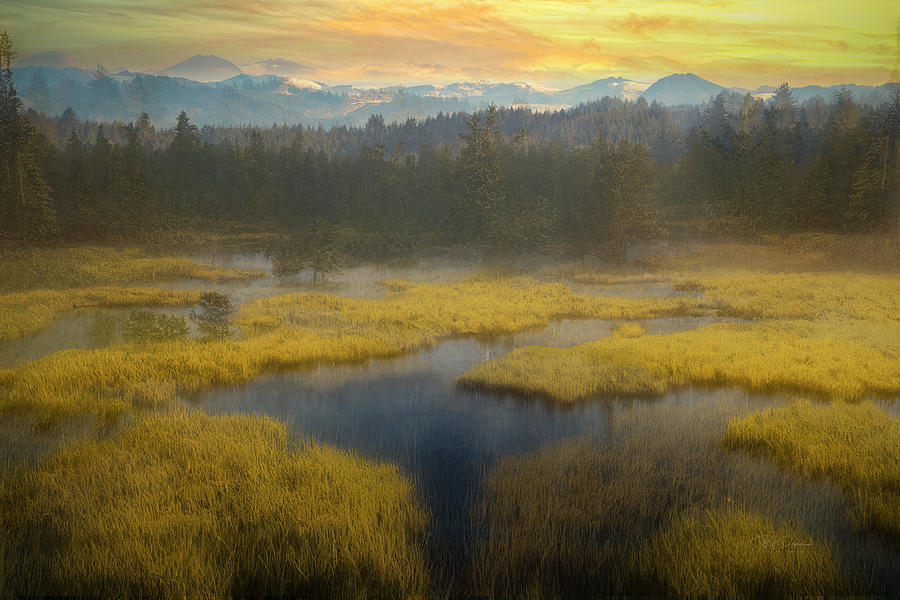 Wetlands of Oregon Coast Photograph by Bill Posner