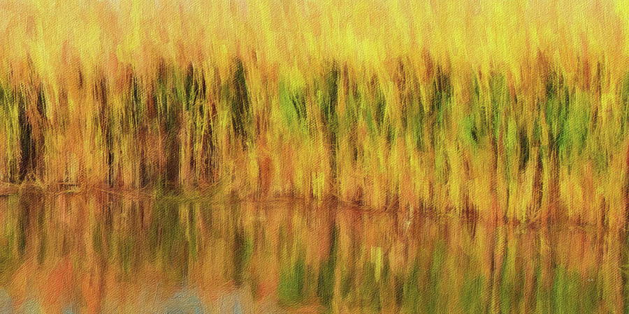 Wetlands Digital Art by Russ Harris