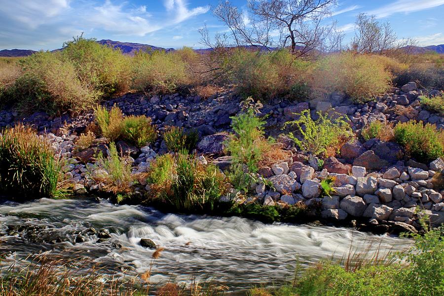 Wetlands Stream Photograph by Tim Kieper - Fine Art America