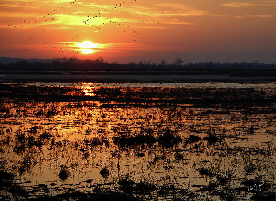 Wetlands Sundown Photograph by Christopher McKenzie
