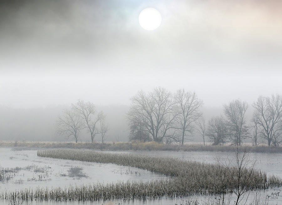 Wetlands Winter Photograph by Christopher McKenzie